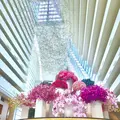 Marina Bay Sands Singapore（マリーナベイ・サンズ）の写真_245486