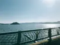 長崎空港の写真_246241