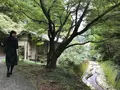 伊万里大川内山の写真_246285