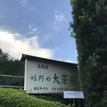 嬉野大茶樹の写真_246297