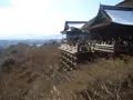 清水寺の写真_246585