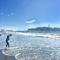 湘南の写真_246721