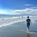 湘南の写真_246722