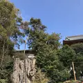 鶴岡八幡宮の写真_246765