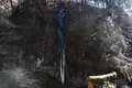 榛名神社の写真_247151