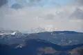 榛名湖の写真_247175