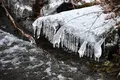 榛名湖の写真_247182