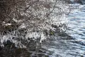 榛名湖の写真_247183
