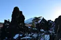 鬼押出し 浅間園の写真_247254