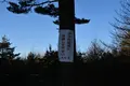 鬼押出し 浅間園の写真_247258