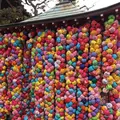 八坂庚申堂の写真_247366