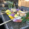 勝林寺の写真_247582
