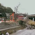 下鴨神社（賀茂御祖神社）の写真_247589