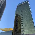 勝海舟銅像の写真_248328