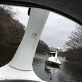 井の頭恩賜公園の写真_248471