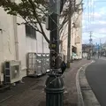 村下孝蔵「初恋」歌碑の写真_248632