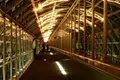 京都駅ビルの写真_248696
