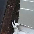 飛谷側道橋の写真_248789