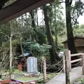 唐船峡そうめん流し市営の写真_248954