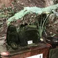 唐船峡そうめん流し市営の写真_248955