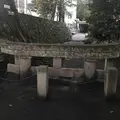 黒神埋没鳥居の写真_249020