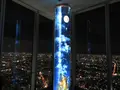 SKY GARDEN 300の写真_249039
