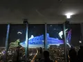 SKY GARDEN 300の写真_249045