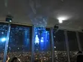 SKY GARDEN 300の写真_249047