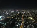 SKY GARDEN 300の写真_249049