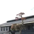 尚古集成館の写真_249055