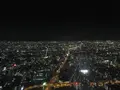 SKY GARDEN 300の写真_249057