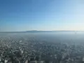 SKY GARDEN 300の写真_249061