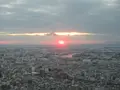 SKY GARDEN 300の写真_249077