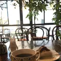 クレビィスの写真_249125