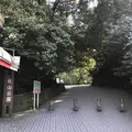 城山展望台の写真_249331