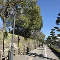 鶴丸城跡の写真_249391