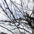 沈壽官窯の写真_249791