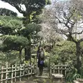 沈壽官窯の写真_249795