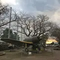 知覧特攻平和会館の写真_249975