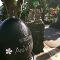 アンダリゾート伊豆高原の写真_250075