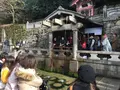 清水寺の写真_250096