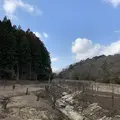 大正池の写真_250131