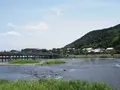 嵐山よしむらの写真_250196
