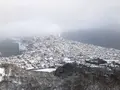 函館山の写真_250345