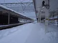 青森駅の写真_250352
