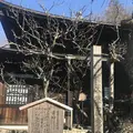 瑞泉寺の写真_250400