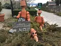 松江イングリッシュガーデンの写真_250522