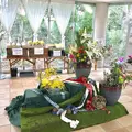 松江イングリッシュガーデンの写真_250529