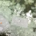 八重垣神社の写真_250547