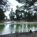 毛越寺の写真_251084